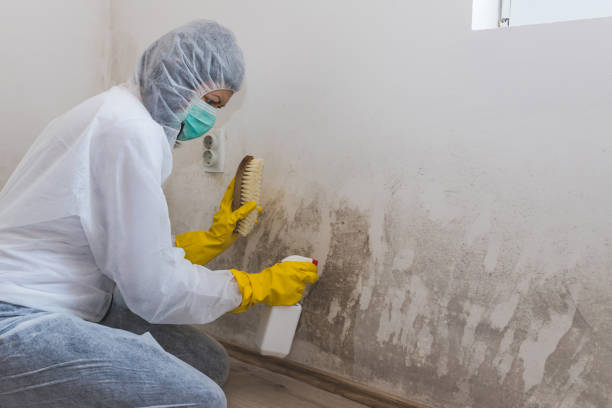 Best Residential Mold Removal  in Cresson, TX