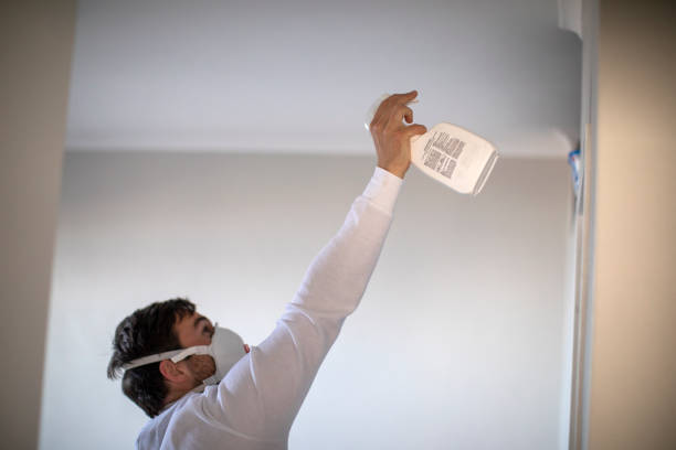 Best Crawl Space Mold Removal  in Cresson, TX