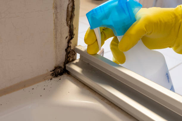 Best Mold Remediation  in Cresson, TX