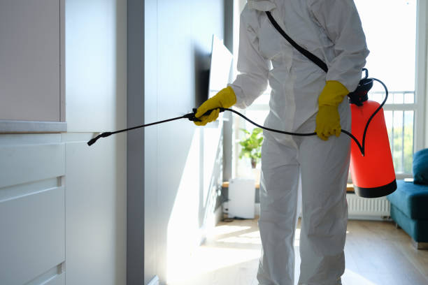Crawl Space Mold Removal in Cresson, TX