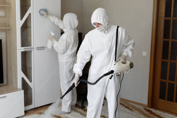 Mold Removal and Inspection in Cresson, TX