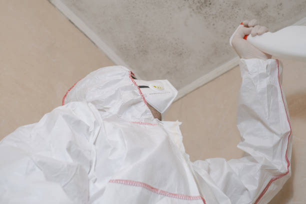 Best Mold Remediation  in Cresson, TX