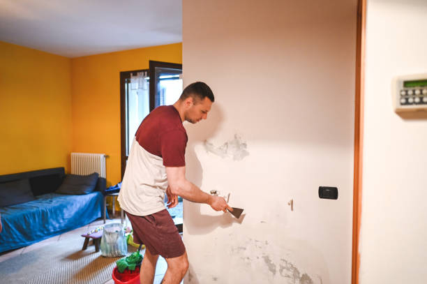 Best Attic Mold Removal  in Cresson, TX